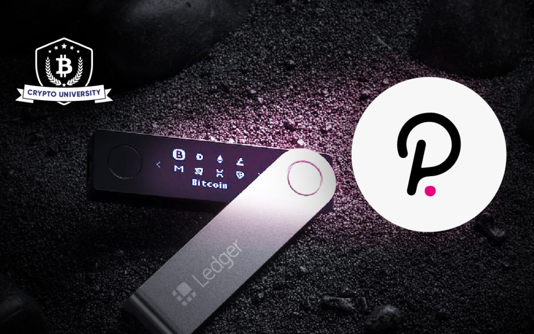 The Ledger Ecosystem is growing! You can now stake Polkadot!