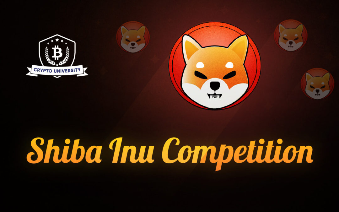 Shiba Inu Trading Competition