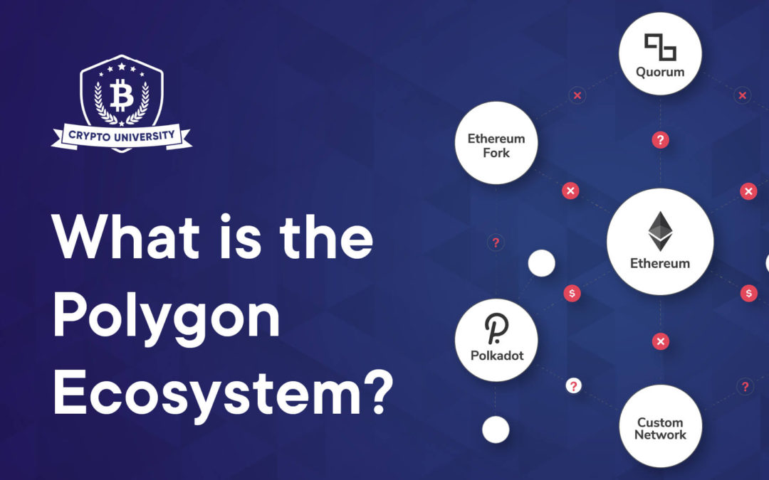 What is the Polygon ecosystem?