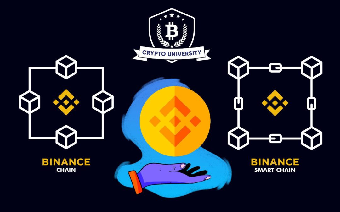 Binance Chain & Binance Smart Chain