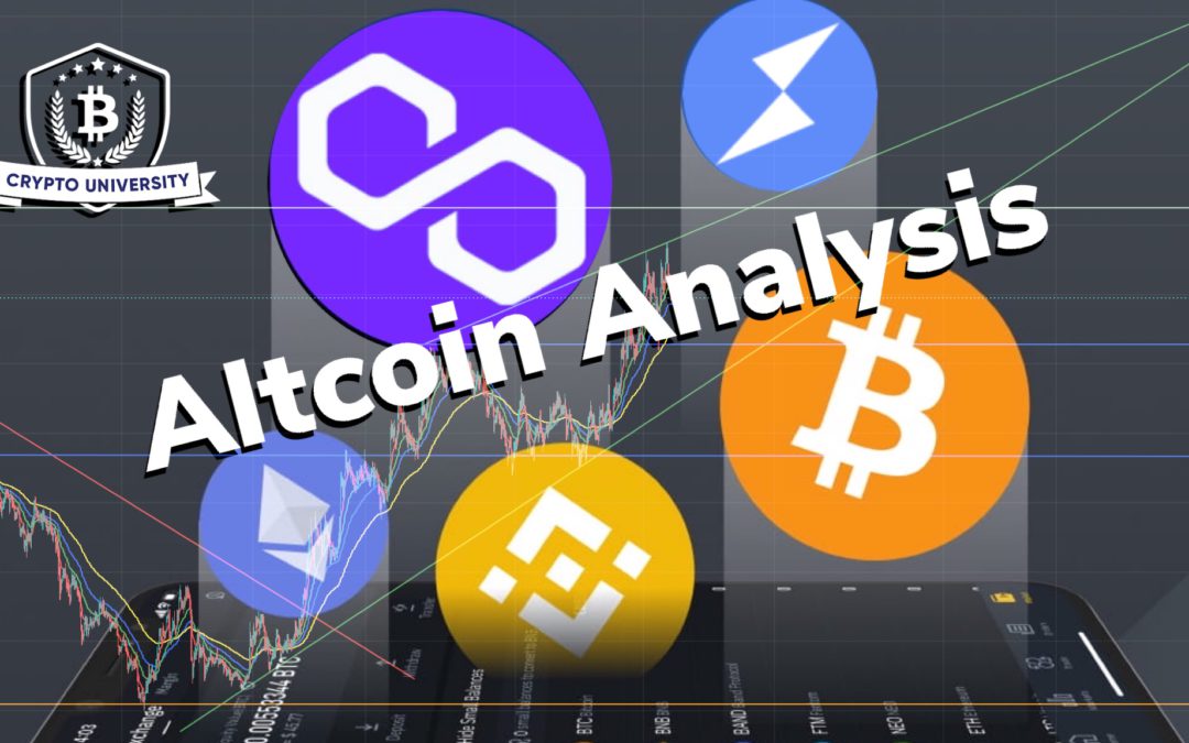 Altcoin Analysis August 17th 2021