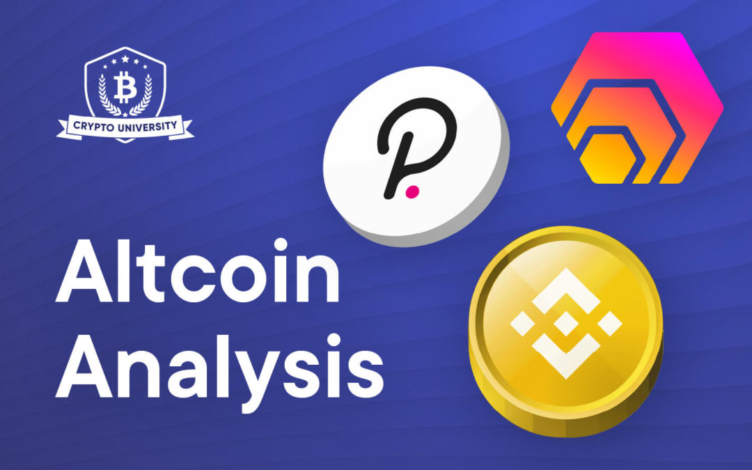 Altcoin Analysis HEX, DOT, BNB