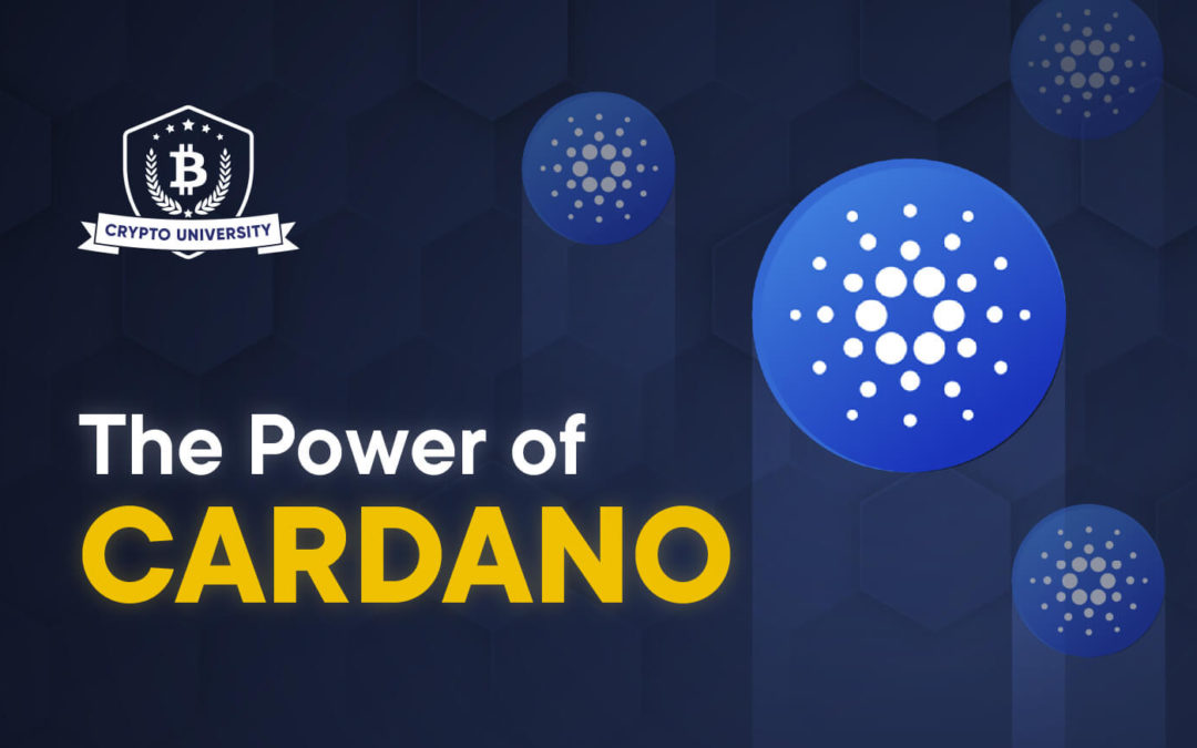 The power of Cardano