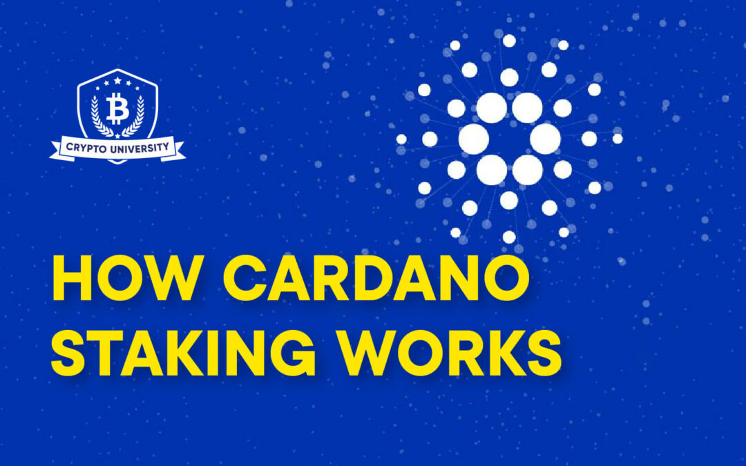 cardano staking image