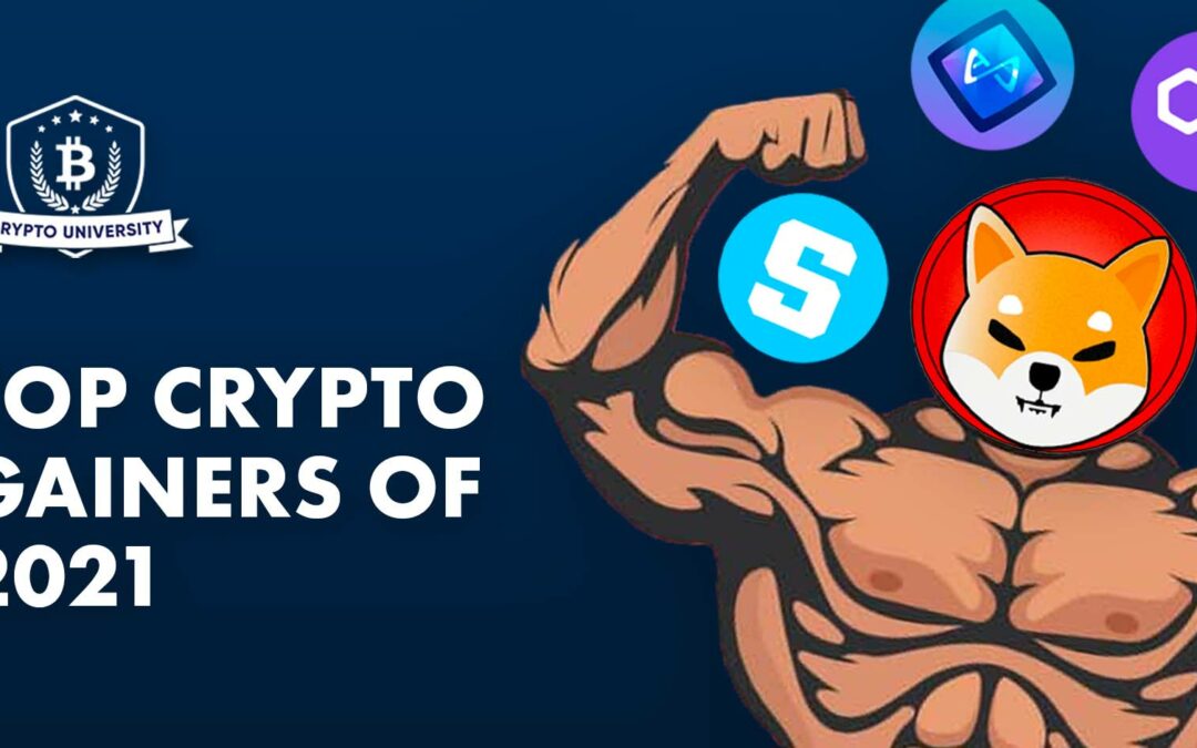 Top Crypto Gainers of 2021