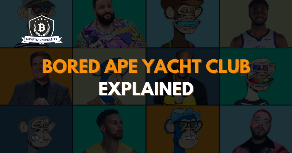 Bored Apes Yacht Club  Explained