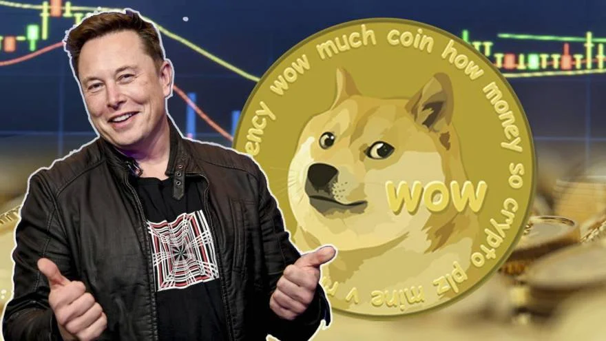 Why does Elon Musk like Dogecoin?