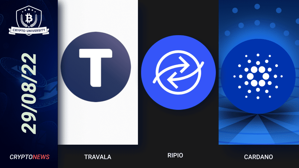 Travala Partners With Polygon, Ripio Launches Bitcoin Card, Cardano The Most Intimate Crypto Brand