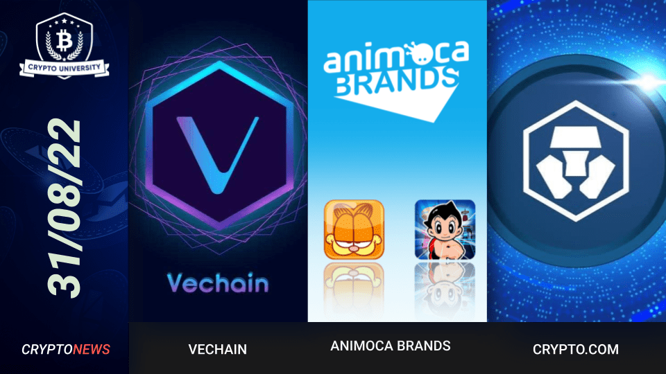 VeChain Partners With TruTrace, Temasek Lead Animoca Brands Fundraise, Crypto.com Sues Aussie Woman