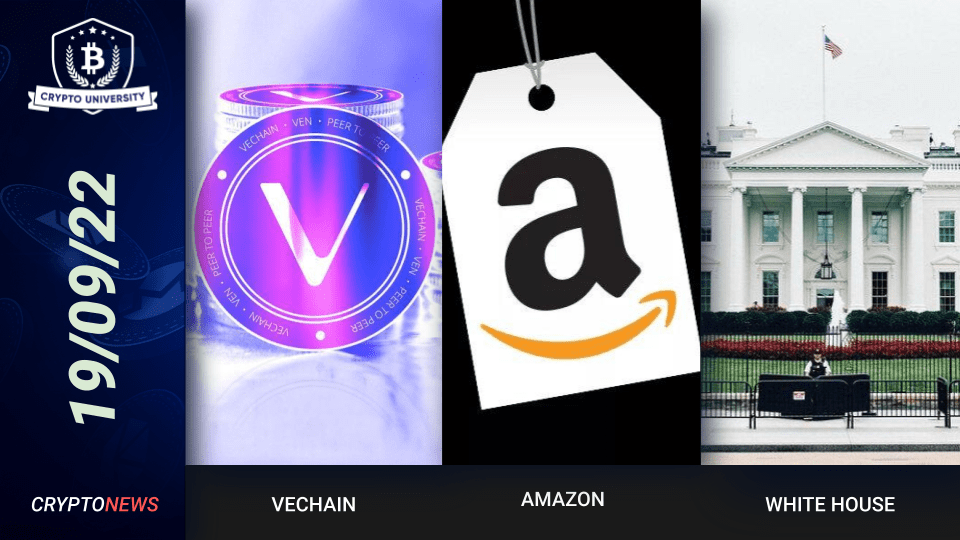 VeChain Partners With UCO Networks, Amazon To Develop Digital Euro, White House Crypto Regulatory Framework