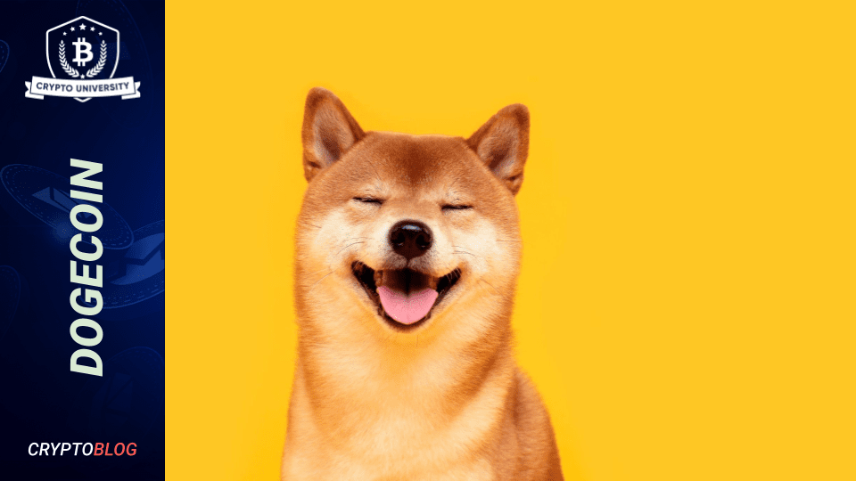 Dogecoin: The Tokenomics, Community And Team