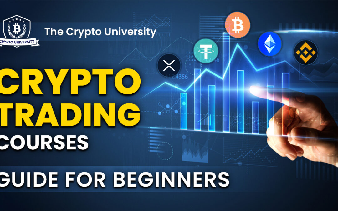 A featured image for a post on the top crypto trading courses for beginners