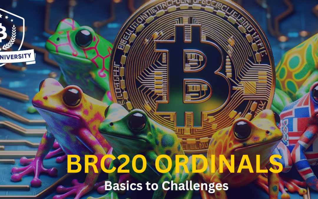 BRC20 ORDINALS: FROM BASICS TO MINTING, TRADING AND CHALLENGES.