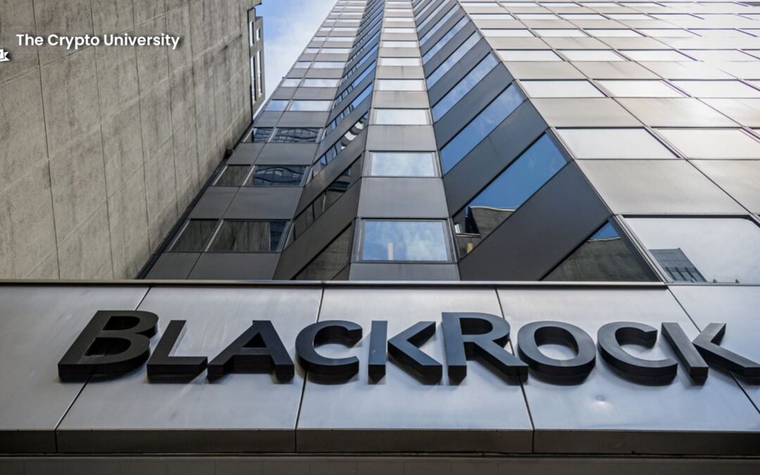 BlackRock and Fidelity in Talks with SEC for Potential Bitcoin ETF Approval