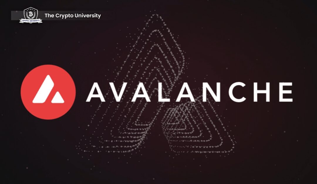 Avalanche Foundation Embraces Memecoins: Investing in Culture and Fun