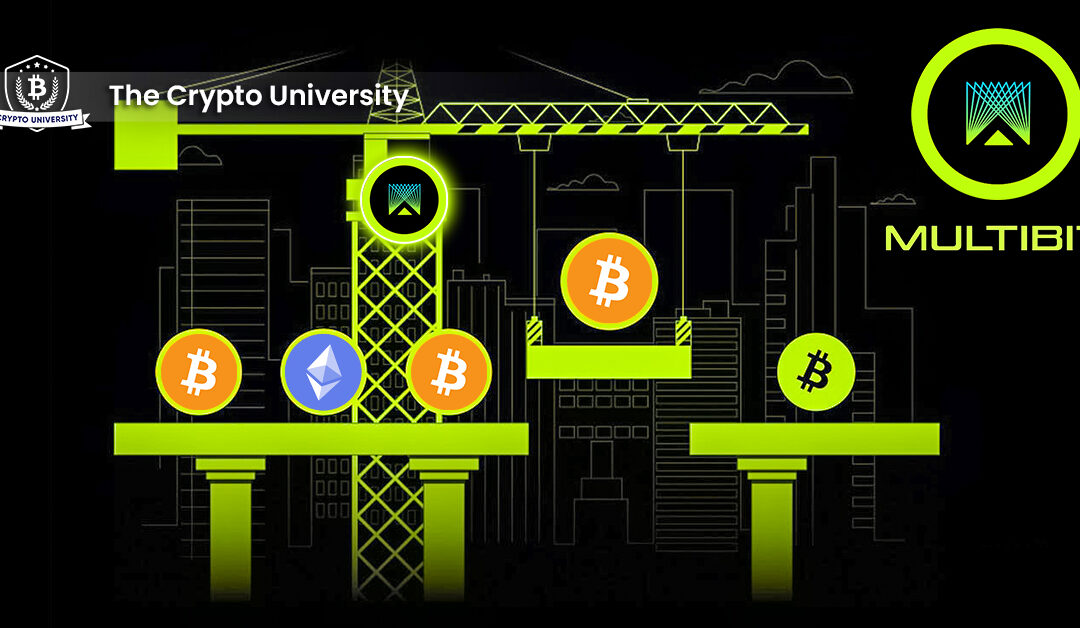 MultiBit: The first BRC20 token bridge.