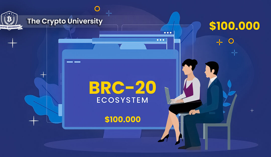 YOUR BLUEPRINT TO $100,000; HOW TO GET JOBS ON BRC 20 ORDINALS ECOSYSTEM