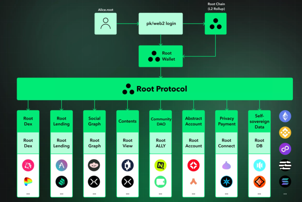 Image showing the diversification of the root protocol network