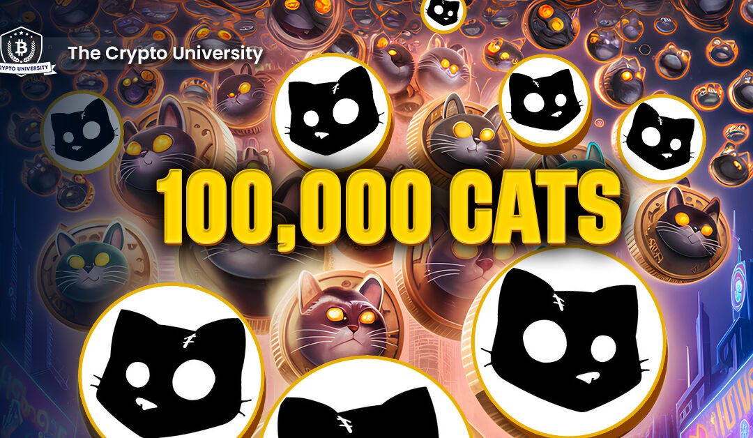 Earn up to 100,000 CATS Tokens in Airdrop without Tapping